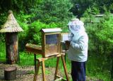 19.07.2017 10:00 Landeszootag, Zoo Rostock