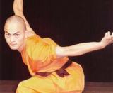 05.02.2008 15:00 Mystische Kräfte – Die Rückkehr der Shaolin, Volkstheater Großes Haus Rostock