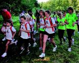 06.05.2012 10:00 10. EURAWASSER-Waldlauf, Laage Laage