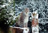 06.02.2013 10:00 Glühwürmchen-Tour, Zoo Rostock