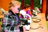 07.02.2012 11:00 Winterferienspaß für Kinder, Wildpark MV Güstrow